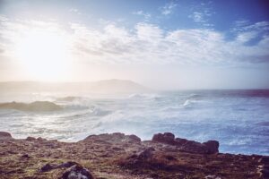 訪問薬剤師の休日は多いのか、具体的に知りたい？