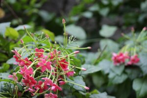 訪問薬剤師の年収700万は実現可能なのか？