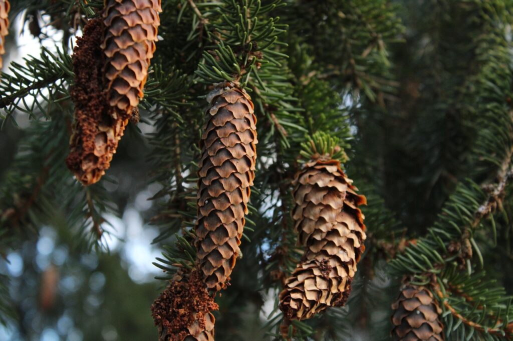 訪問薬剤師への転職に必要なステップとは？