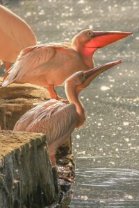 訪問薬剤師として今転職すべき理由は？