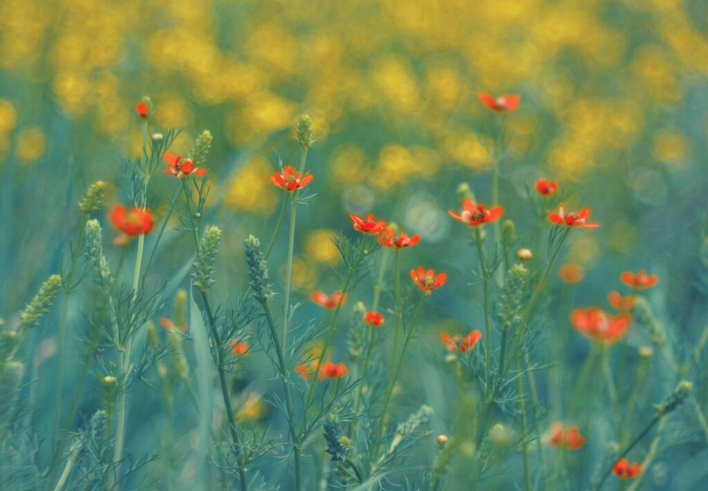 年収交渉で成功するためのコツは？