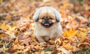 病院の薬剤師の年収における地域別の差とは？