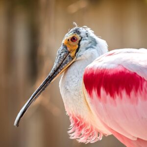 職務経歴書の書き方で押さえておくべきポイントは？