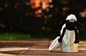 訪問薬剤師に未経験から転職できる方法は？