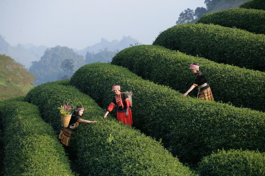 経験者が満たすべき年収の条件とは？