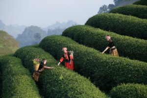 経験者が満たすべき年収の条件とは？