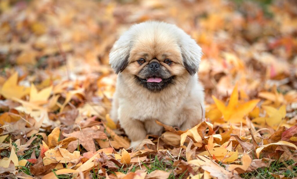 転職後に後悔した例とはどんなものがあるのか？